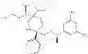Fig. 197 - NK1 antagonists