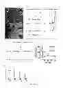 Fig. 04 - COMPOSITIONS AND METHODS FOR THE TREATMENT OF CANCER