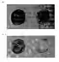 Fig. 02 - Phenyl-Containing Organopolysiloxane Composition, Raw Cosmetic Material, and Glossy Cosmetic Material
