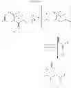 Fig. 08 - METHODS FOR THE SYNTHESIS OF DICARBA BRIDGES IN ORGANIC COMPOUNDS