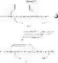 Fig. 85 - METHODS FOR THE SYNTHESIS OF DICARBA BRIDGES IN ORGANIC COMPOUNDS
