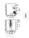 Fig. 06 - Humanization of rabbit antibodies using a universal antibody framework