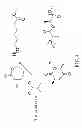 Fig. 06 - Polyesterification method
