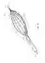 Fig. 09 - SURGICAL RETRIEVAL APPARATUS AND METHOD WITH SEMI-RIGIDLY EXTENDABLE AND COLLAPSABLE BASKET