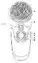 Fig. 01 - SKIN TREATMENT DEVICE