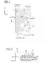 Fig. 02 - Method and apparatus for treating ischemic diseases