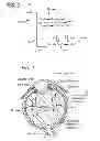 Fig. 03 - Method and apparatus for treating ischemic diseases