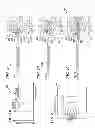 Fig. 07 - Cochlear implant and method enabling enhanced music perception