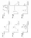 Fig. 06 - Optimized stimulation rate of an optically stimulating cochlear implant