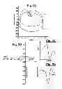 Fig. 07 - PROSTHESIS STRUCTURE FOR LOWER-LIMB  AMPUTEES
