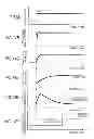 Fig. 13 - Control device controlling sensor heating in internal combustion engine