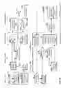 Fig. 85 - CONSUMER TRANSACTION LEASH CONTROL APPARATUSES, METHODS AND SYSTEMS