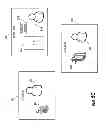 Fig. 08 - MULTI-STAGE FILTERING FOR FRAUD DETECTION