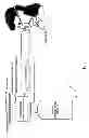 Fig. 02 - Adaptable demand dilution oxygen regulator for use in aircrafts
