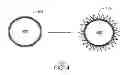 Fig. 07 - Protecting a fluid stream from fouling