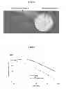 Fig. 03 - METHOD OF ILLUMINATING A MAGNETIC COMPASS OR OTHER TYPE OF INDICIA IN LOW LIGHT SITUATIONS USING PHOTOLUMINESCENT MATERIALS