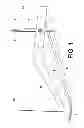 Fig. 02 - FLOATING LIGHT LUMINAIRE