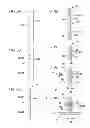 Fig. 07 - Illumination apparatus, display apparatus, and electronic device
