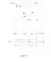 Fig. 02 - Bootstrapping fault detection sessions over a P2MP tunnel