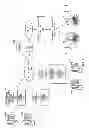 Fig. 02 - MESSAGE MAPPING FOR FORCED HOLD CALL HANDLING IN A VOP ENVIRONMENT