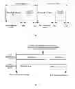 Fig. 03 - Method and system for physical resources configuration and signal transmission when communication systems coexist