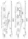 Fig. 06 - Transmission of control information in a wireless network with carrier aggregation