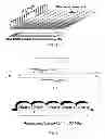 Fig. 02 - Resource organization in an apparatus and method for carrier aggregation
