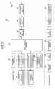 Fig. 22 - Wireless communication apparatus and wireless communication method