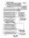 Fig. 24 - COFDM digital television receivers for iterative-diversity reception