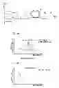 Fig. 02 - Method for manufacturing optical fiber grating, optical fiber grating, and fiber laser