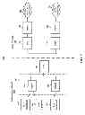 Fig. 02 - CHIP X2 CORRELATION HYPOTHESES USING CHIP X1 SAMPLES
