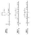 Fig. 55 - Discrete digital transmitter