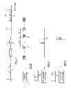 Fig. 36 - Multiple path discrete digital receiver