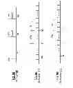Fig. 52 - Multiple path discrete digital receiver