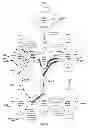 Fig. 09 - Method and system for establishing end-to-end service and optical transport network