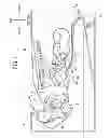Fig. 02 - Developing apparatus having thickness regulating member