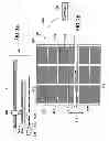Fig. 02 - Method and device for compensation for dimensional variations in low temperature sample group holders