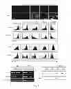 Fig. 02 - Composition and method for differentiation of human embryonic stem cells