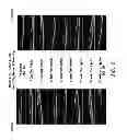 Fig. 06 - DOSING REGIMENS FOR TREATING AND PREVENTING OCULAR DISORDERS USING C-RAF ANTISENSE