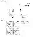 Fig. 02 - METHOD FOR DETECTING REGULATORY T CELLS USING EXPRESSION OF FOLATE RECEPTOR 4 AS INDICATOR, METHOD FOR TREATING DISEASES USING THE DETECTION METHOD, PHARMACEUTICAL COMPOSITION FOR IMMUNOSTIMULATION, AND METHOD FOR TREATING DISEASES USING THE COMPOSITION