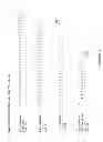 Fig. 09 - Human antibodies that bind mesothelin, and uses thereof