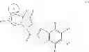 Fig. 20 - Human antibodies that bind mesothelin, and uses thereof