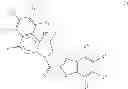 Fig. 25 - Human antibodies that bind mesothelin, and uses thereof