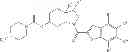 Fig. 26 - Human antibodies that bind mesothelin, and uses thereof