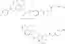 Fig. 37 - Human antibodies that bind mesothelin, and uses thereof