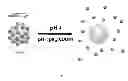 Fig. 02 - Triggered Cargo Release from Nanoparticle Stabilized Liposomes