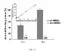 Fig. 16 - Triggered Cargo Release from Nanoparticle Stabilized Liposomes