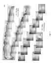 Fig. 08 - Methods for tissue decellularization