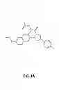 Fig. 02 - Materials and method for inhibiting replication protein A and uses thereof