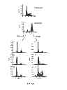 Fig. 15 - Materials and method for inhibiting replication protein A and uses thereof